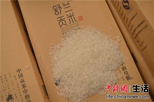 道路普通货物运输 第291页