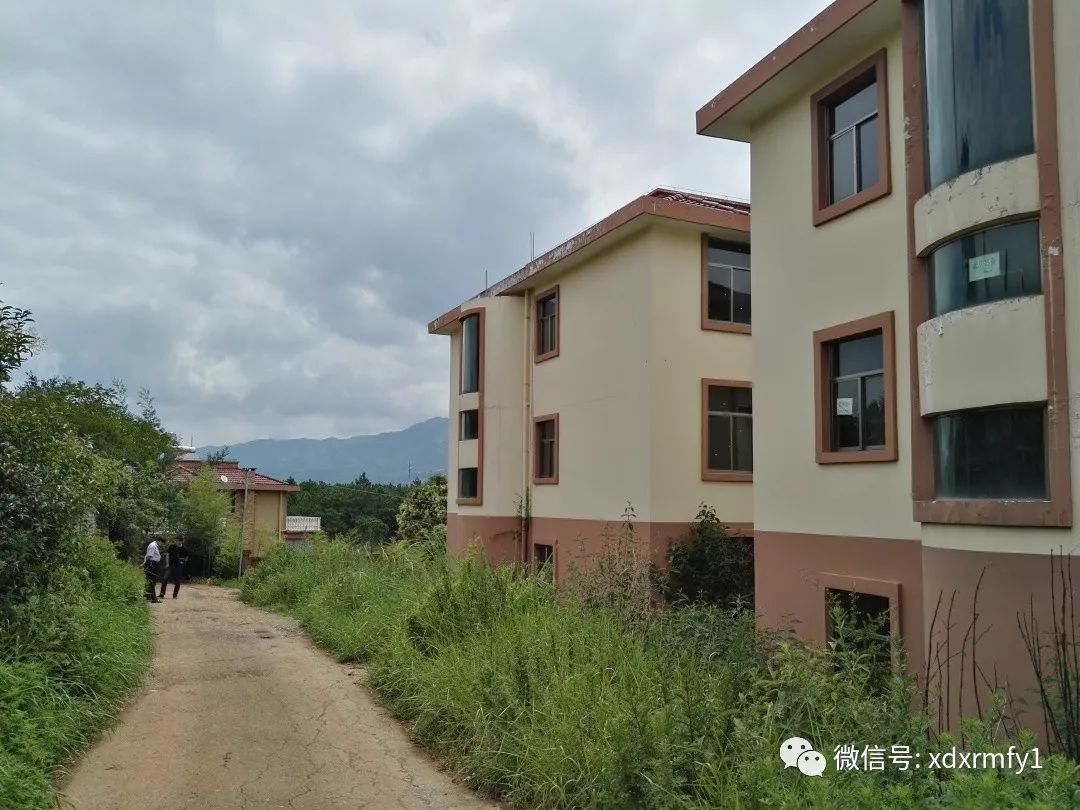 技术进出口 第220页
