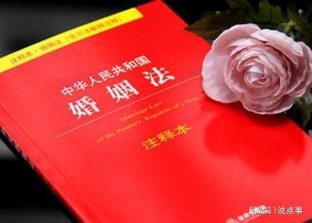货物进出口 第233页