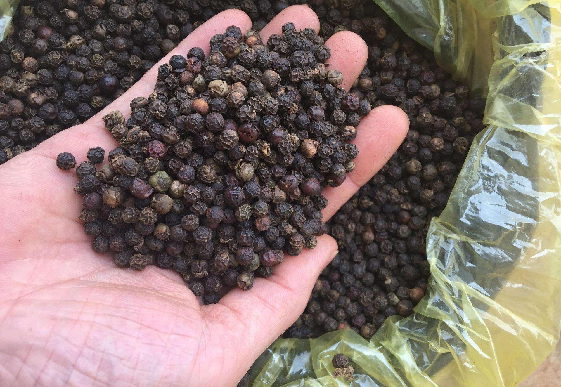 汽车零部件 第116页