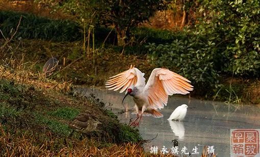 汽车零部件 第91页
