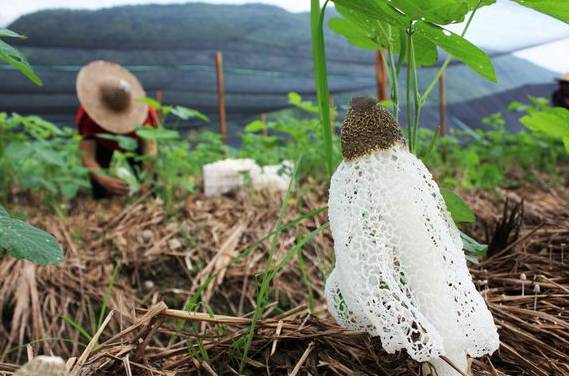 自行车配件 第90页